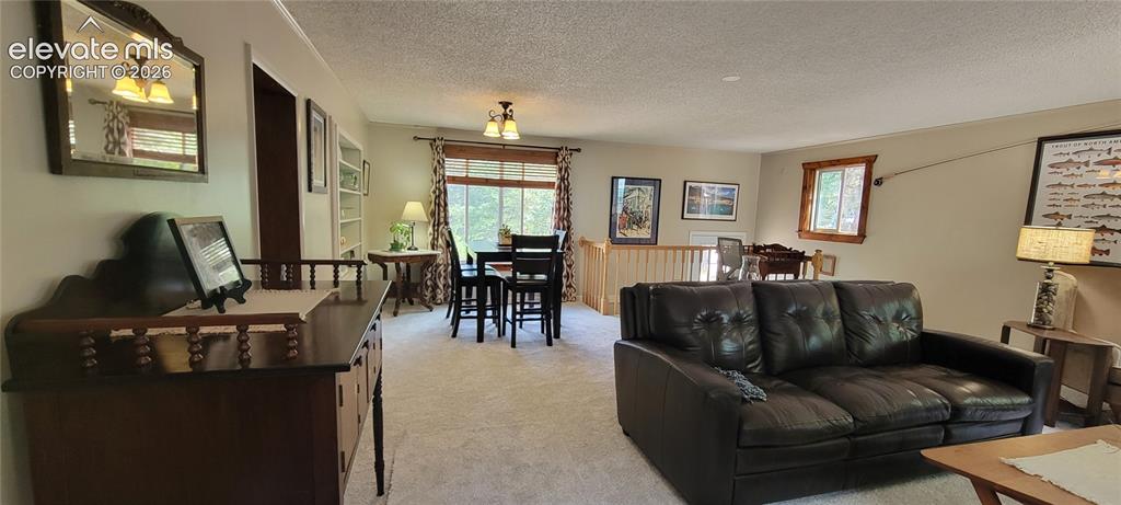 Image 11 of 30: Expansive carpeted living area featuring a built-in bookshelf, a dining spa