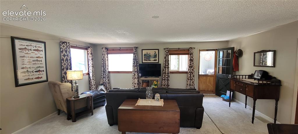Image 12 of 30: Spacious living area featuring light-toned carpeting and neutral wall paint