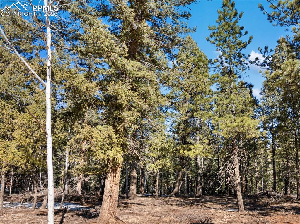 Image 12 of 33: Other