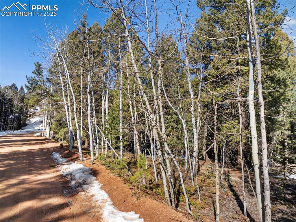 Image 8 of 33: Community