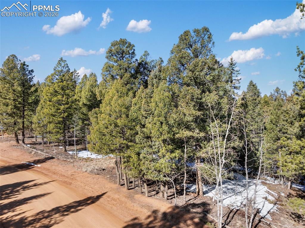 Image 9 of 33: Other