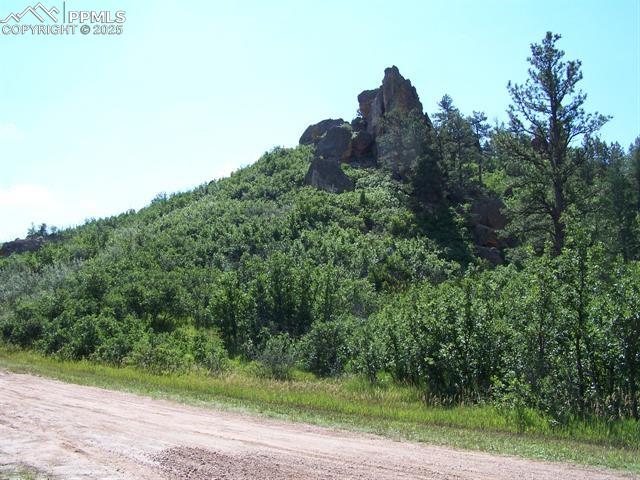 Image 14 of 22: Other