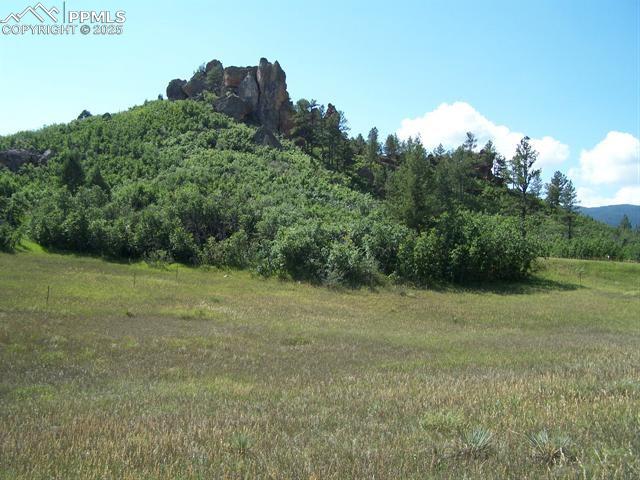 Image 15 of 22: Other