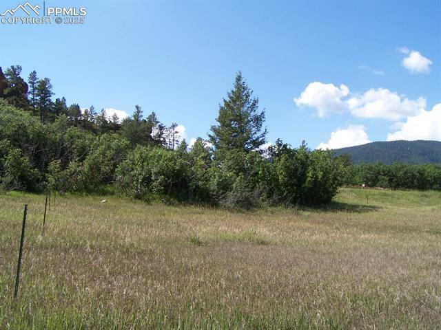 Image 16 of 22: Other