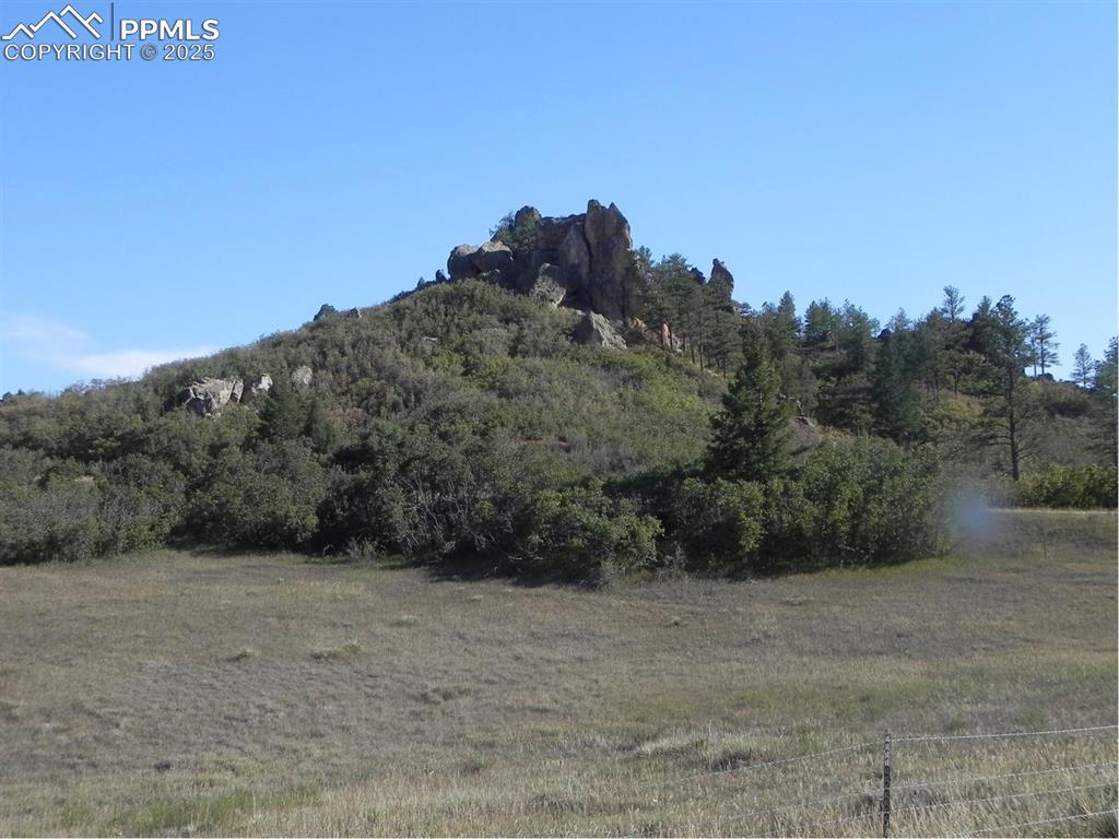 Image 22 of 22: Other