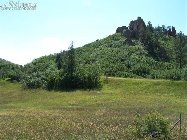 Image 9 of 22: Other