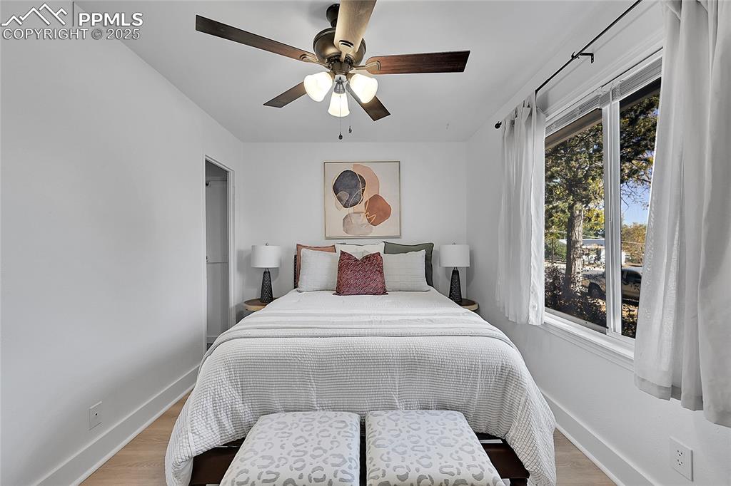 Image 21 of 47: New lighting/ceiling fan.