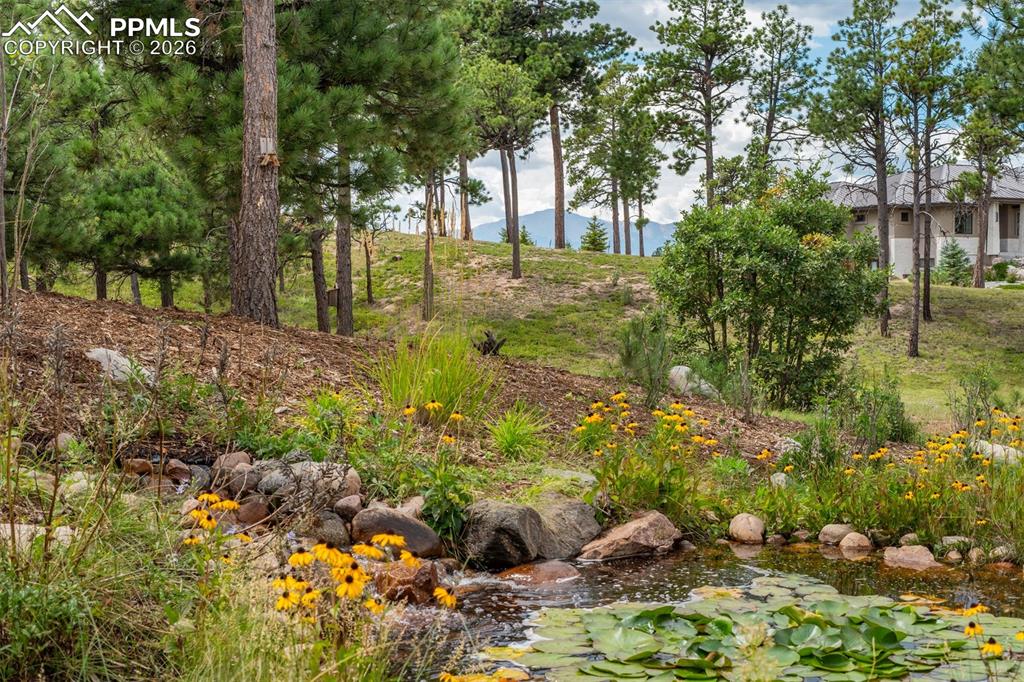 Image 50 of 50: Other