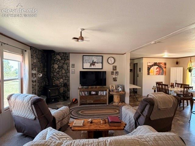 Image 19 of 39: Living Room