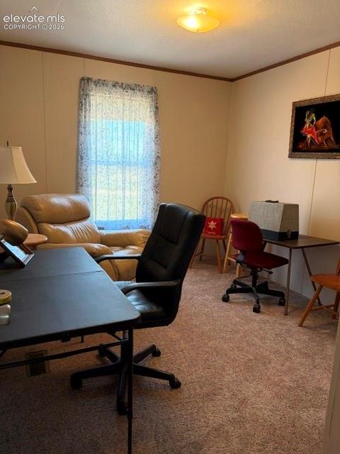 Image 26 of 39: 2nd bedroom, carpeted