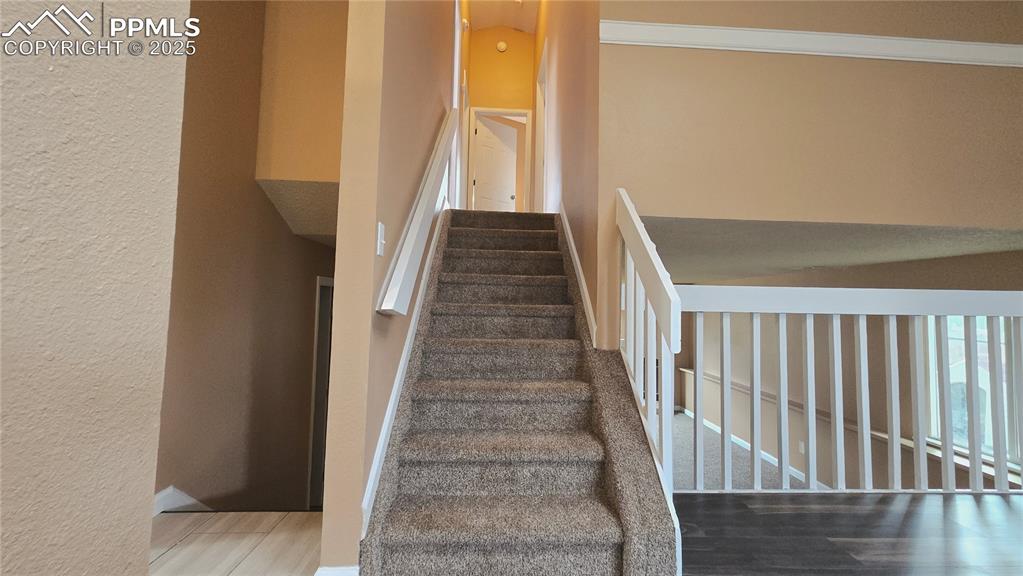 Image 12 of 42: Staircase with new carpet throughout