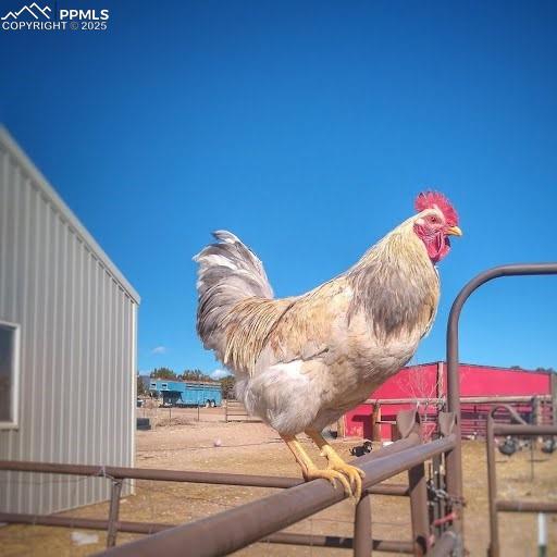 Image 45 of 49: Hobby farm possibilities