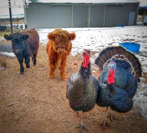 Image 46 of 49: Hobby farm possibilities