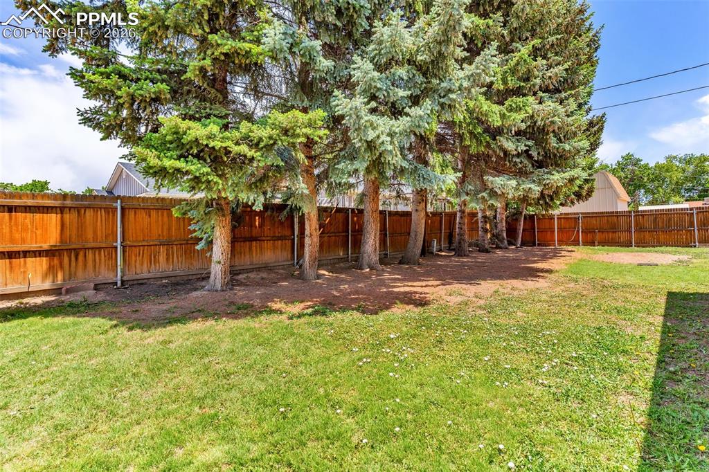 Image 32 of 42: View of yard