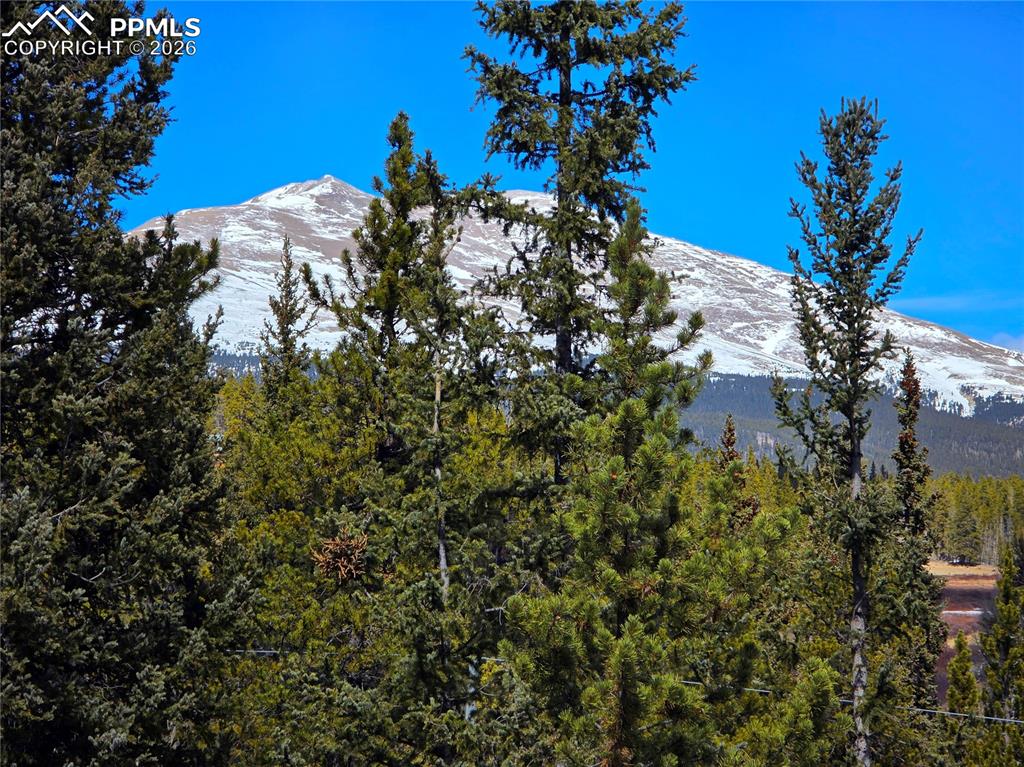 Image 13 of 40: view from balcony