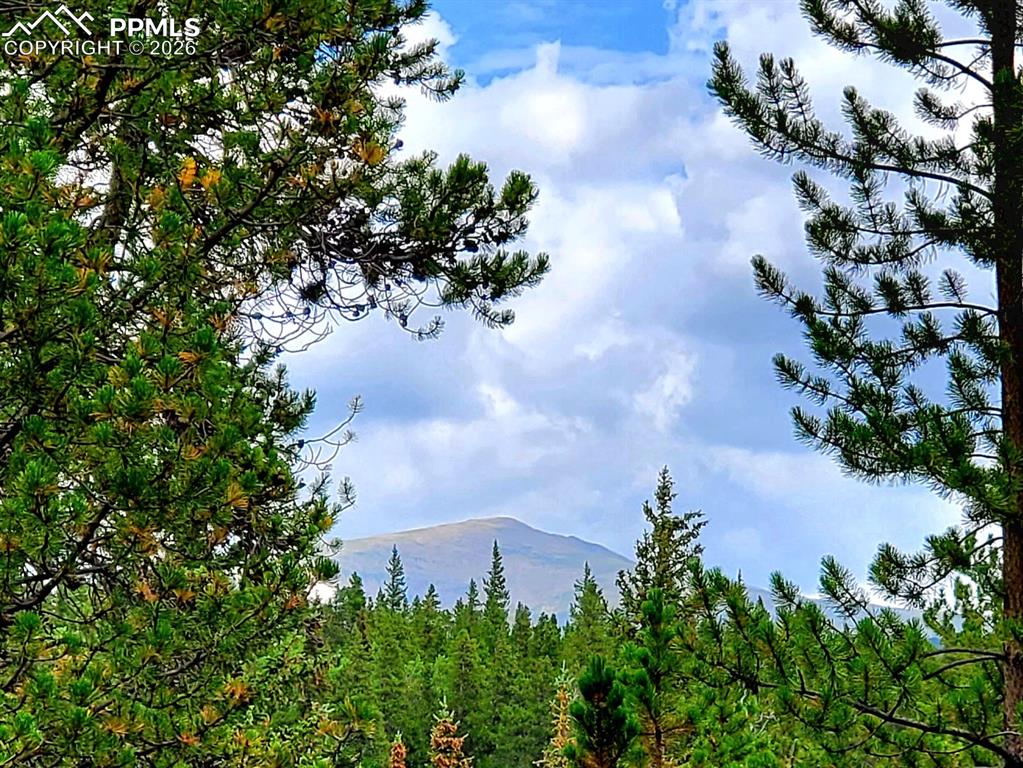 Image 14 of 40: view from balcony