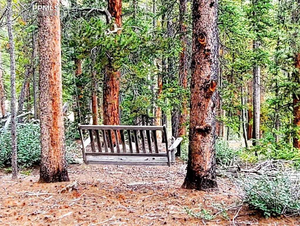 Image 25 of 40: Swing on the property for enjoying all that fresh pine scented air and a go