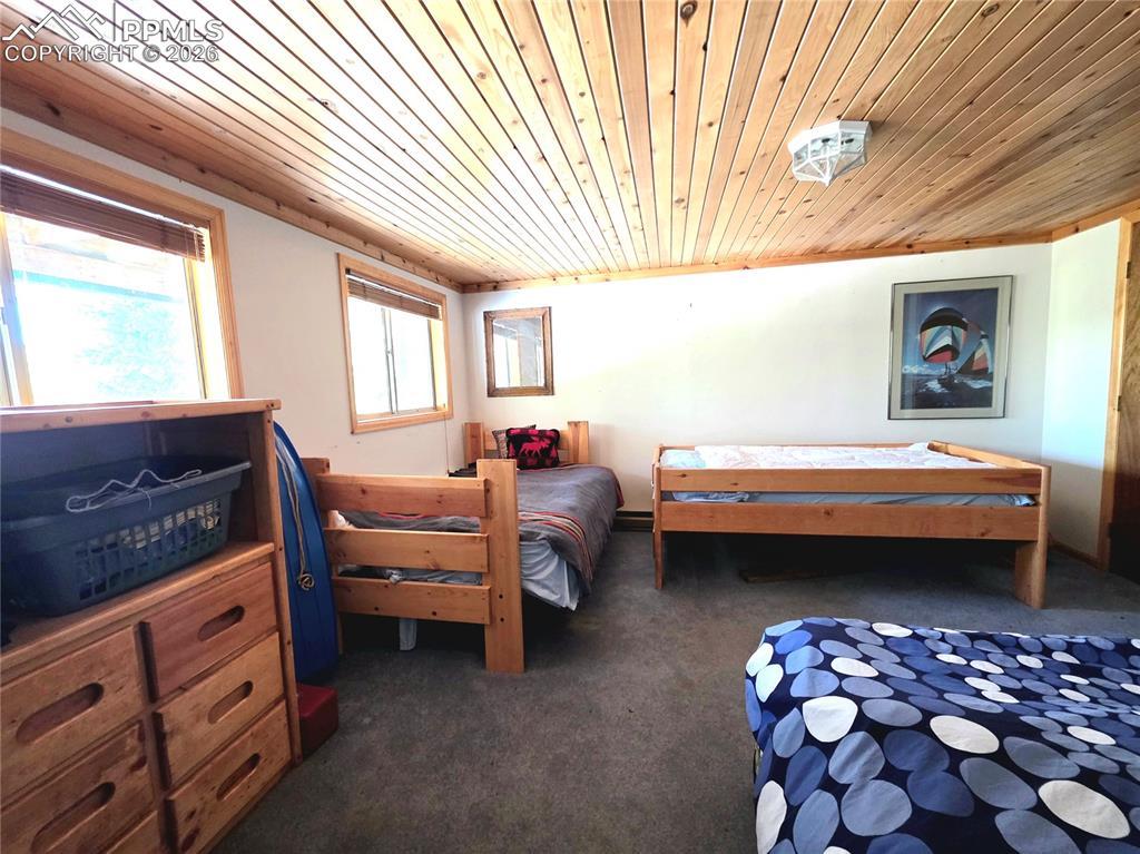 Image 27 of 40: Lower level bedroom