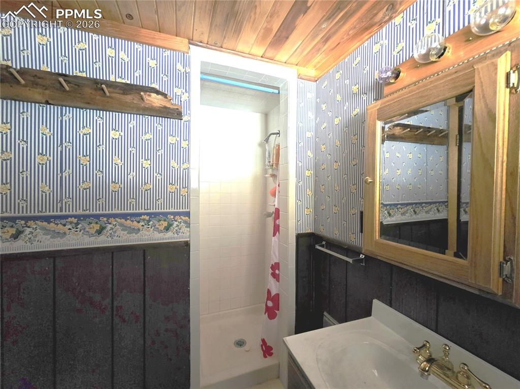 Image 31 of 40: 3/4 bath with shower on lower level