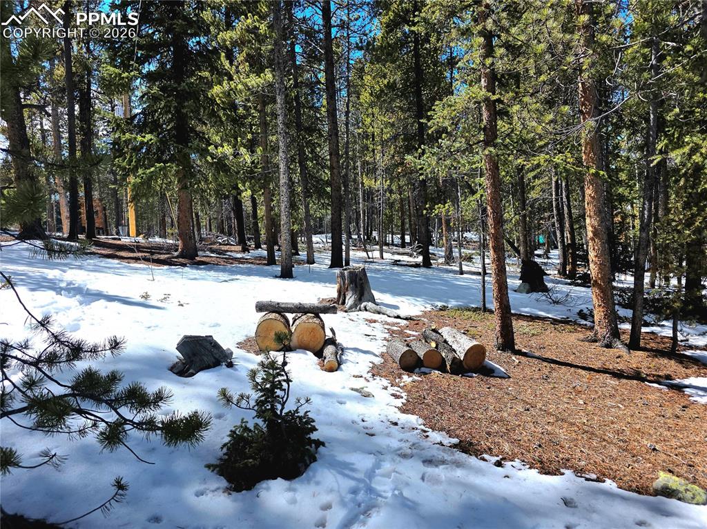 Image 35 of 40: yard outside the upper level entry area