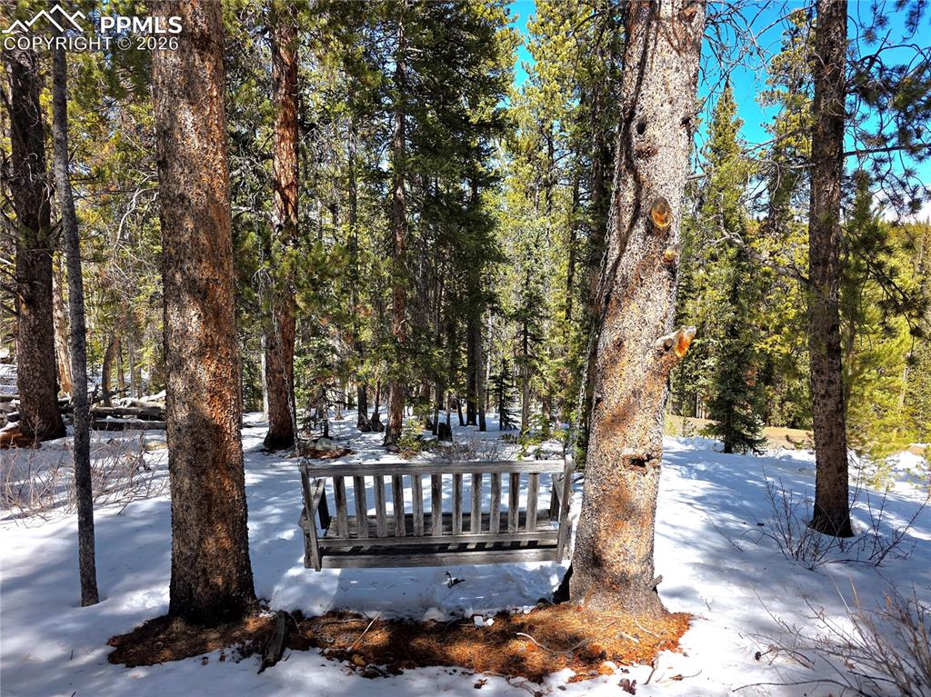 Image 36 of 40: Rustic  swing for relaxing