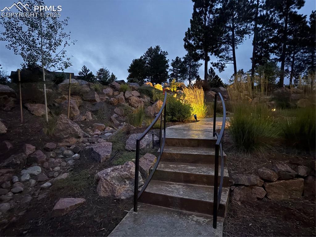 Image 10 of 44: Back yard near the dog run