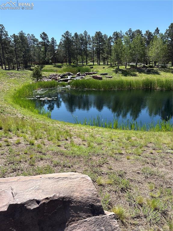 Image 45 of 48: Water view near the lodge- fishing pond