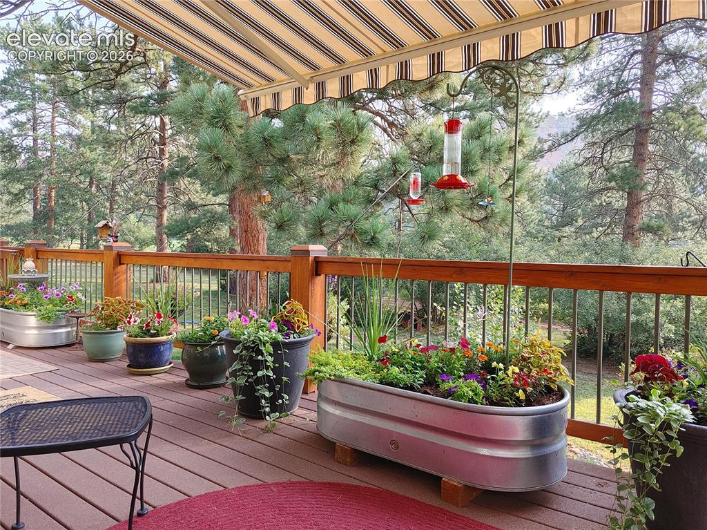 Image 5 of 50: Deck