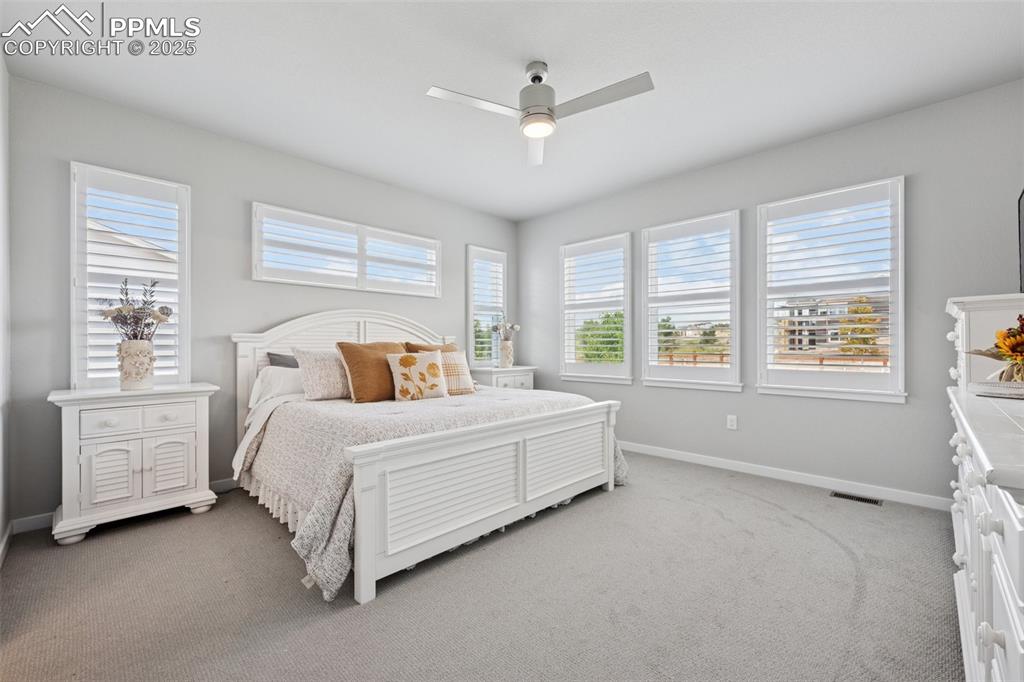 Image 20 of 45: Huge master bedroom with upgraded carpet, fan and window coverings!