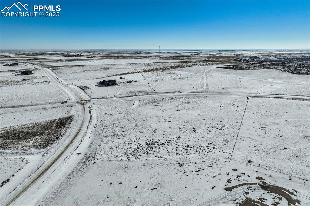 Image 18 of 20: Bird