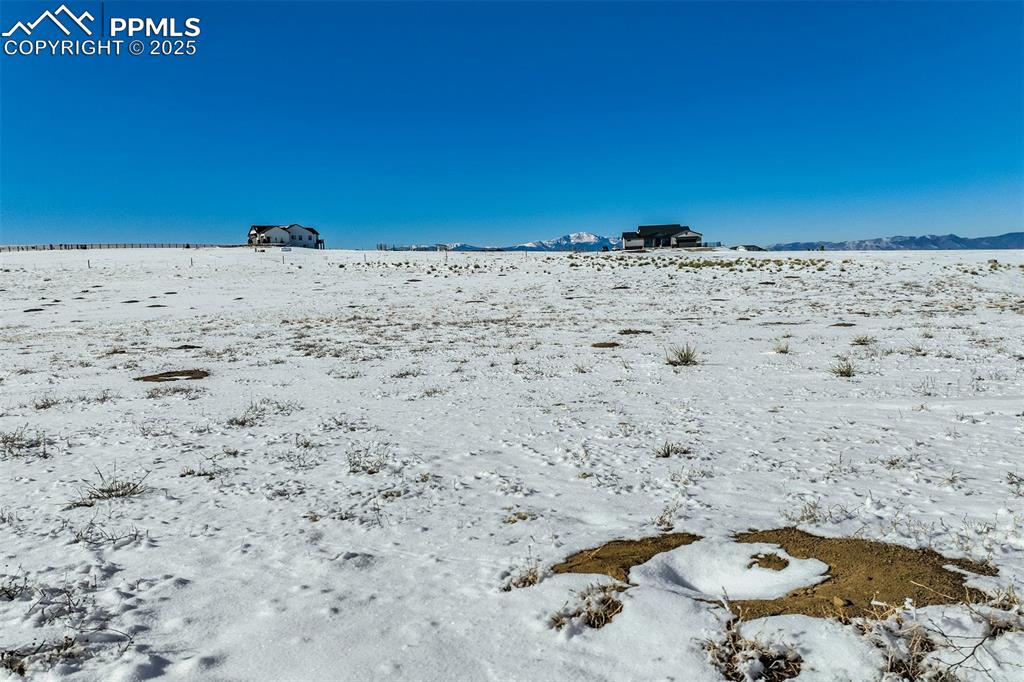 Image 6 of 20: View of yard covered in snow