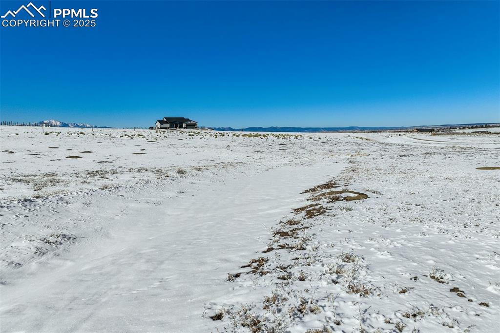 Image 7 of 20: View of yard layered in snow