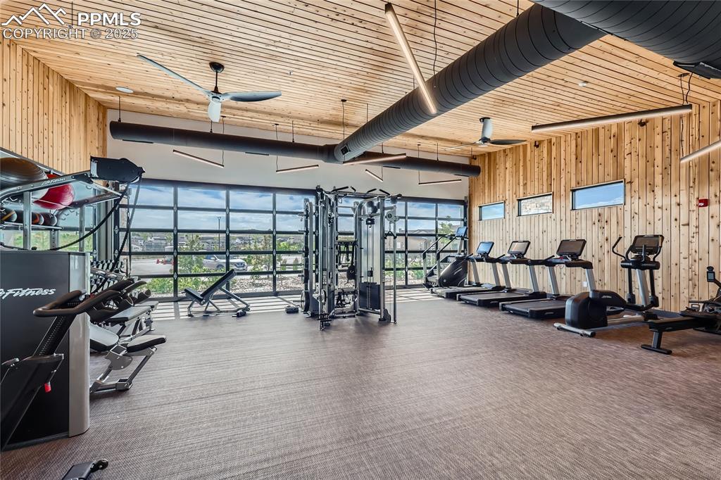 Image 42 of 44: Gym with wooden walls, ceiling fan, carpet floors, a wall of windows, and w