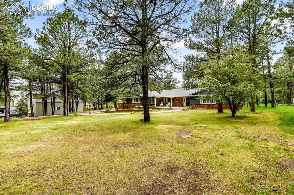 Image 41 of 50: Yard