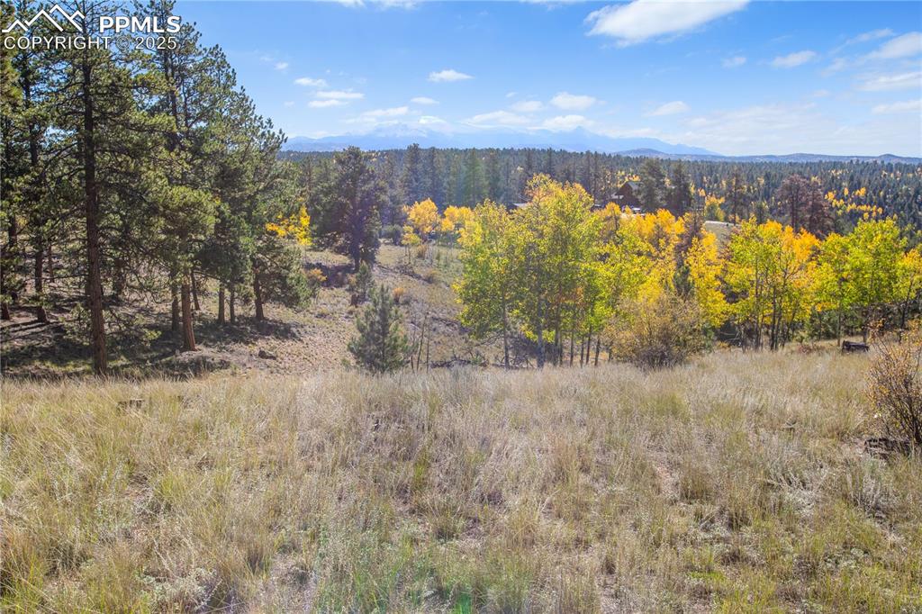Image 26 of 49: Building Site with Pikes Peak Views