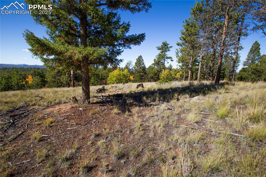 Image 28 of 49:  Building Site