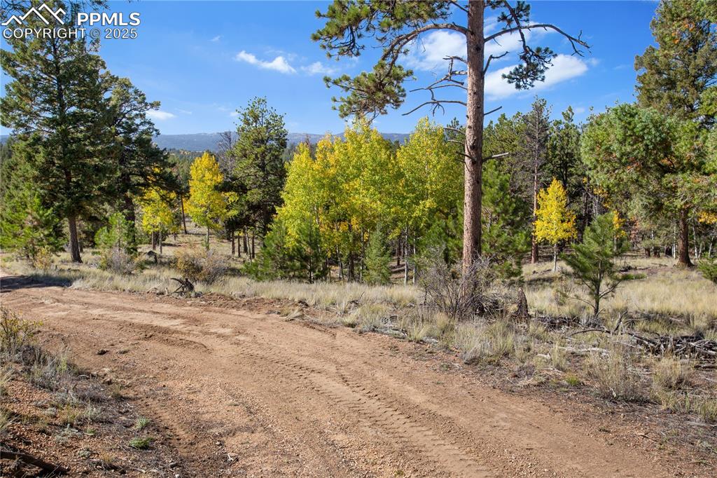 Image 29 of 49: Building Site