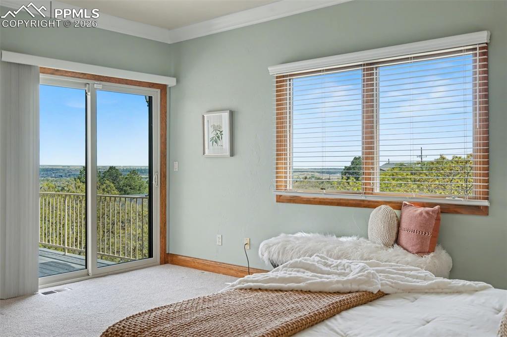 Image 26 of 44: No Description Available