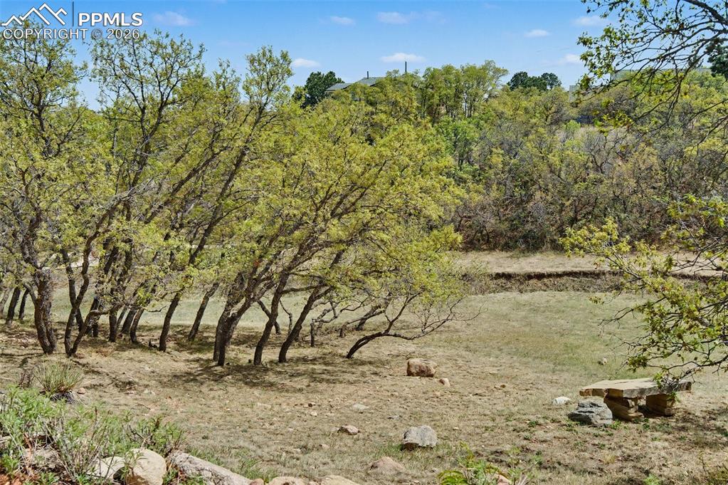 Image 44 of 44: No Description Available