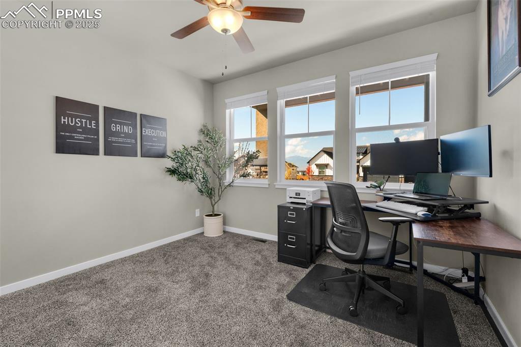 Image 14 of 50: Main Level Bedroom Used As An Office