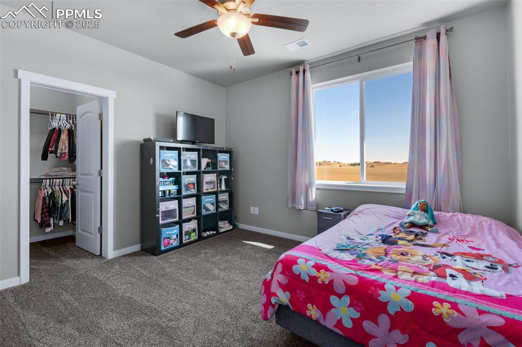 Image 31 of 50: Upper Level Bedroom With Walk In Closet