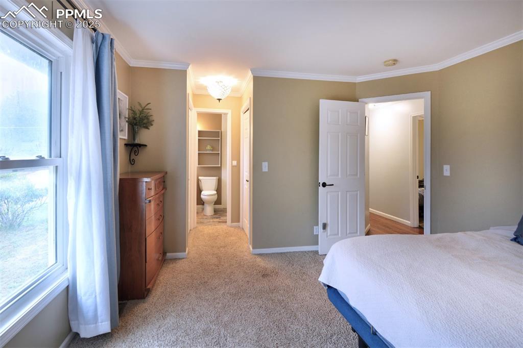 Image 12 of 32: Primary bedroom has carpet and 2 closets.