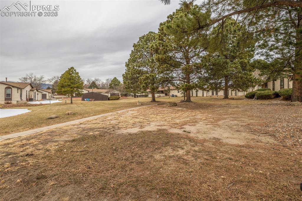 Image 36 of 36: Yard