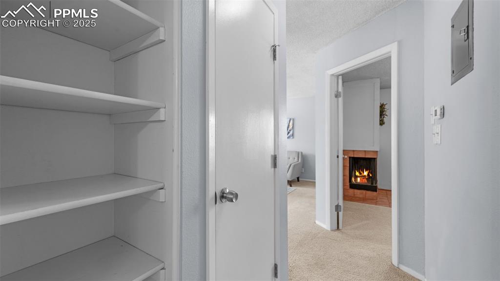 Image 19 of 30: Other