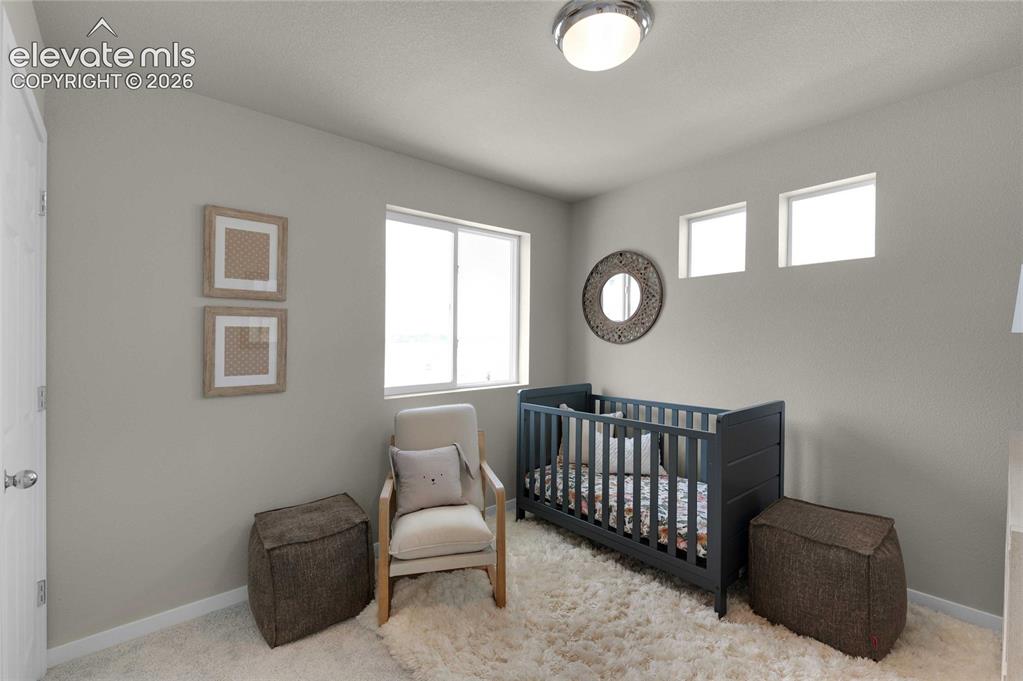 Image 24 of 31: Room featuring light gray walls, plush carpet flooring, a large window, and