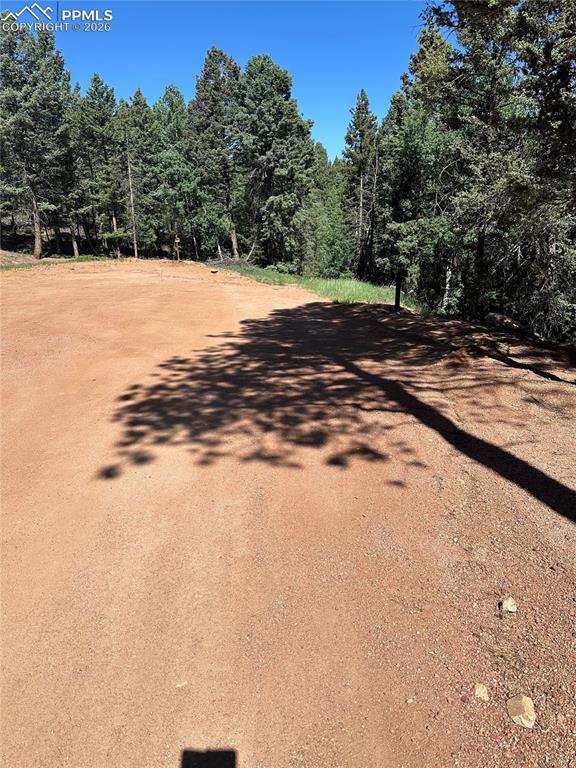 Image 7 of 7: Community