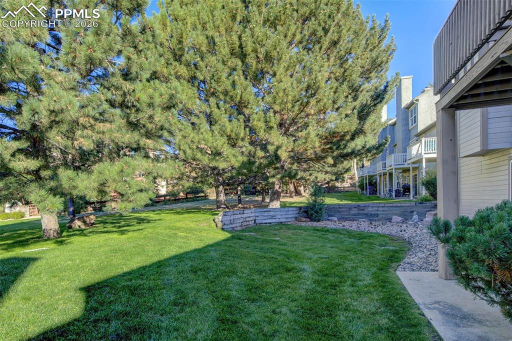 Image 38 of 43: Beautiful greenspace