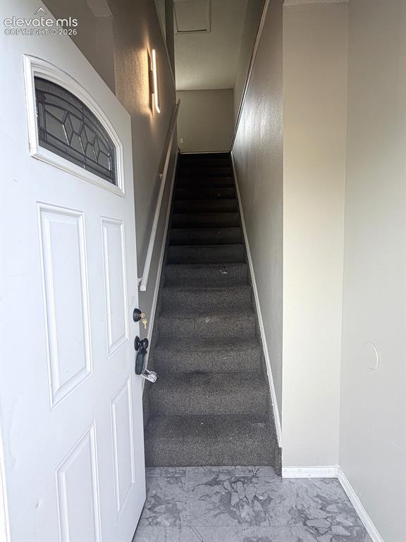 Image 7 of 14: Entryway featuring a white paneled door with decorative glass, gray pattern