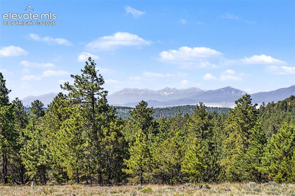Image 4 of 48: View