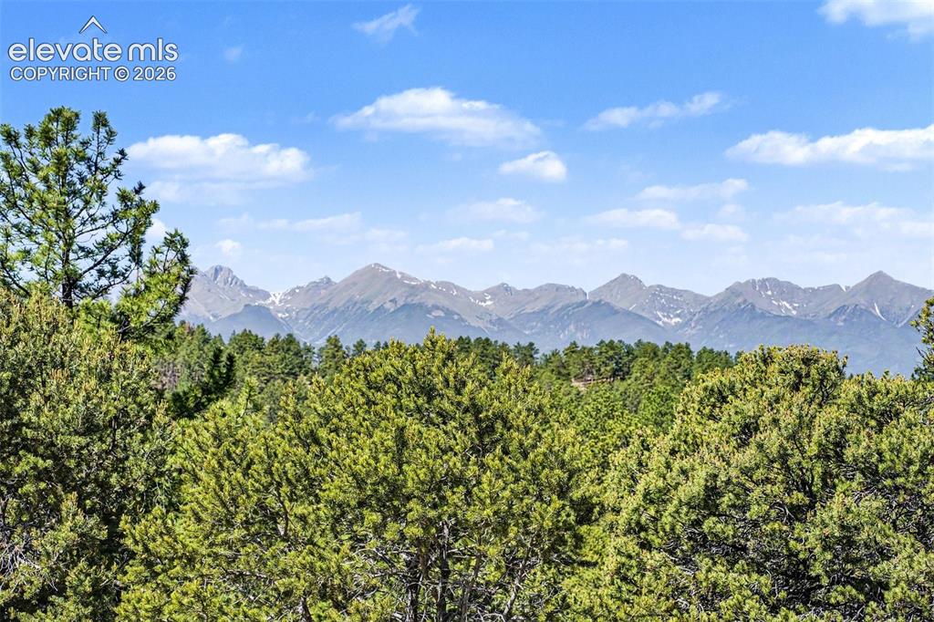 Image 5 of 48: Sellers Property Disclosure